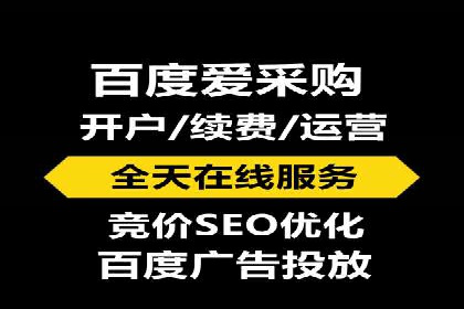 百度竞价包年策略：成功案例解析与经验分享